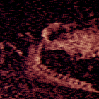 Iron Lung Icon